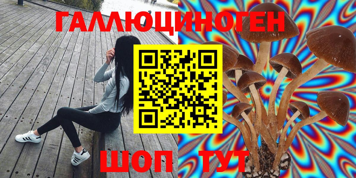 Чернушка  Псилоцибиновые грибы GOLDEN TEACHER  Вход с VPN 