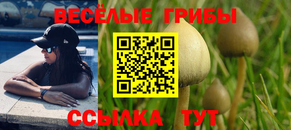 Галлюциногенные грибы Cubensis Чернушка